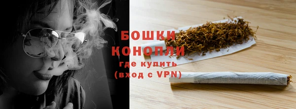 твердый Магас
