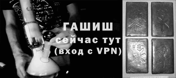 твердый Магас