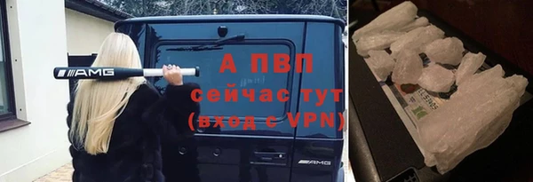 твердый Магас