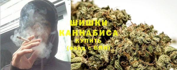 стаф Мегион