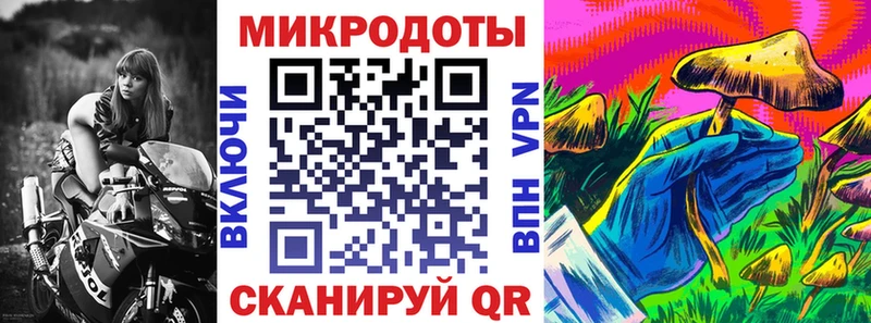 Псилоцибиновые грибы Cubensis  закладка  Чебоксары 