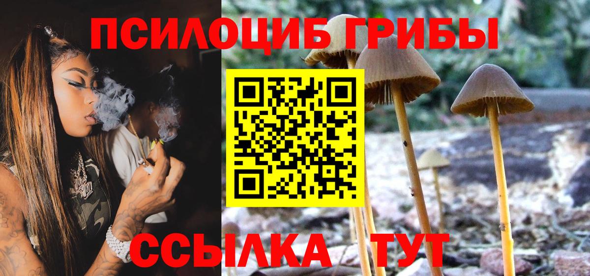 Галлюциногенные грибы ЛСД  Вход с VPN  Чебоксары 