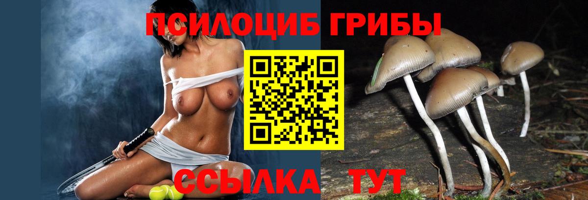 Марихуана  Чебоксары  Лсд 25  Гашиш  Меф   ГЕРОИН  NBOMe  Вход с VPN 